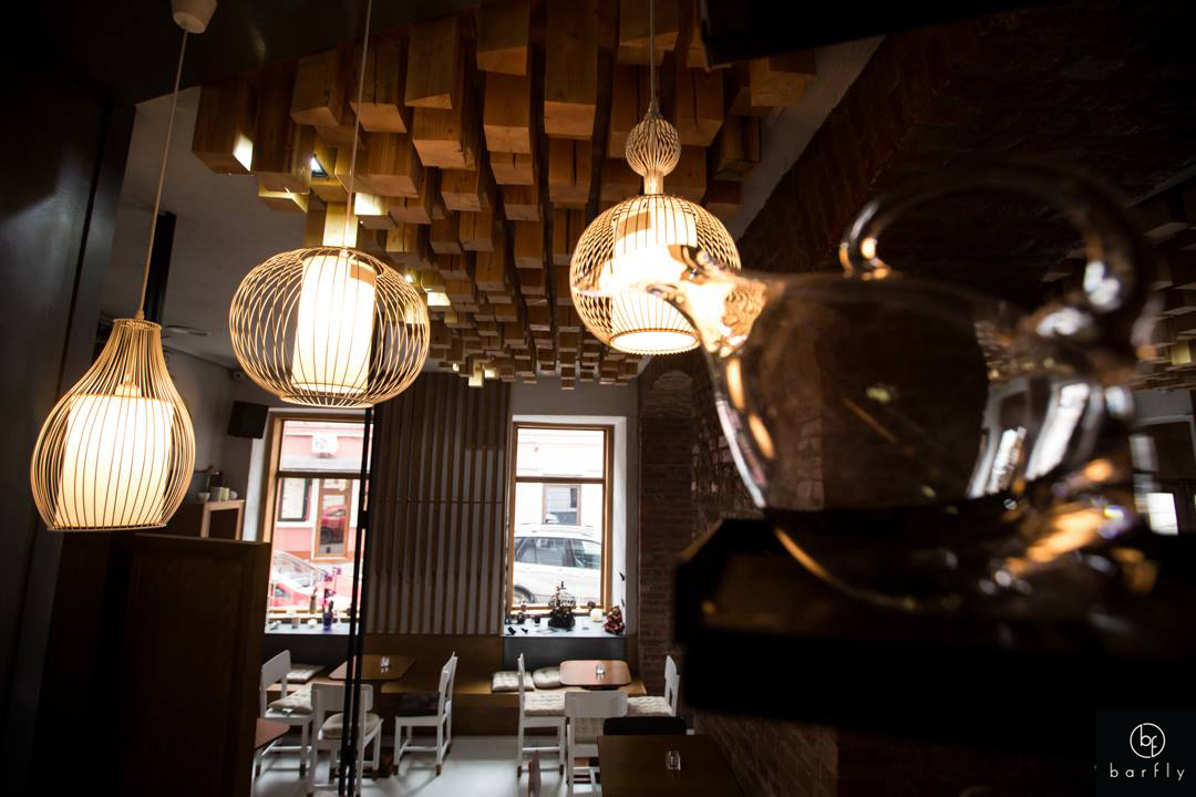 Interior Bar Fly 2